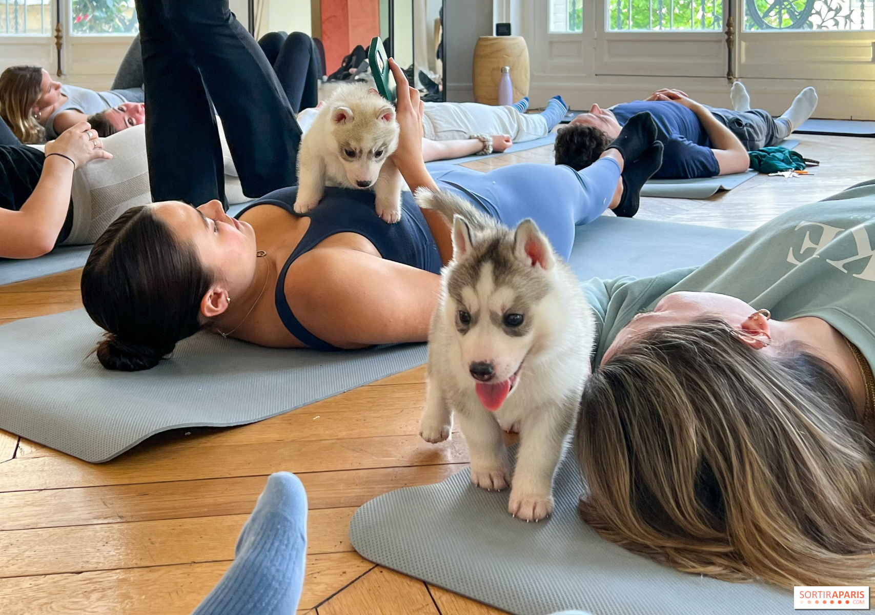 Bien-être : Yogge puppies, la nouvelle tendance en matière de détente.